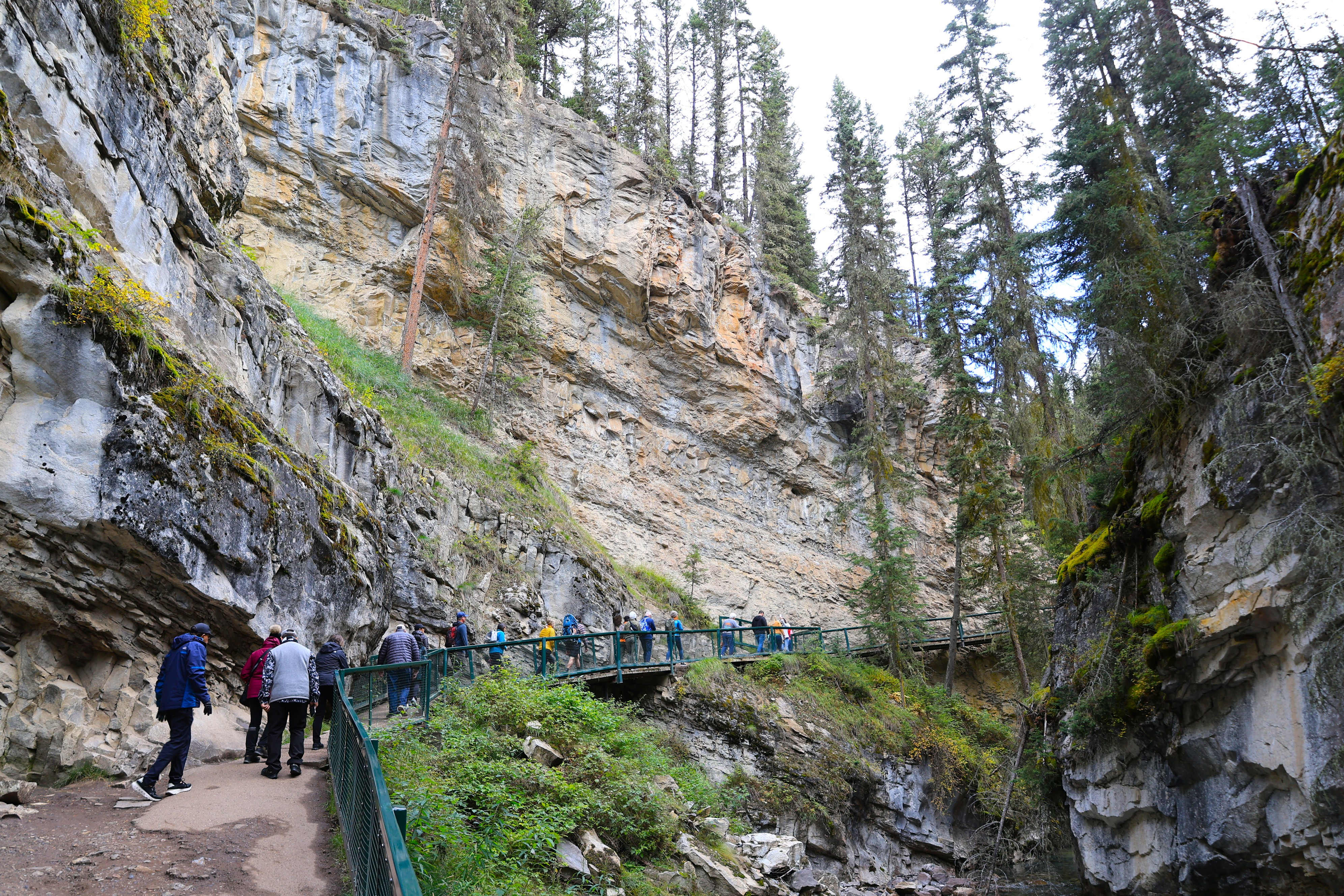 NP Banff